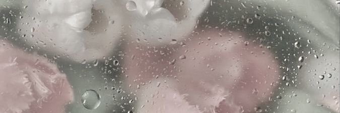 t_s2km's profile banner image