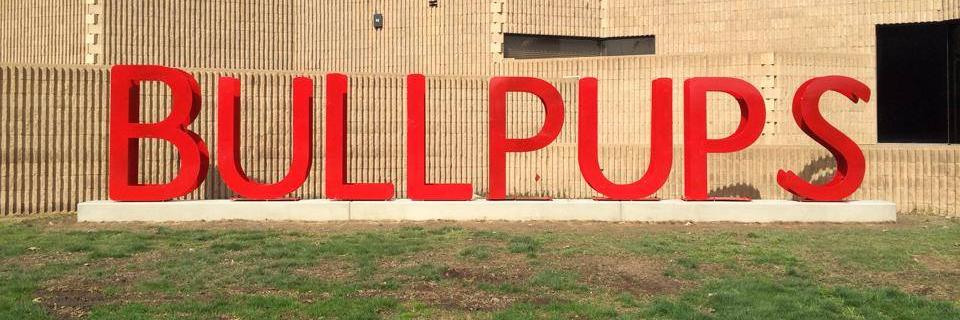 Hanford High School banner