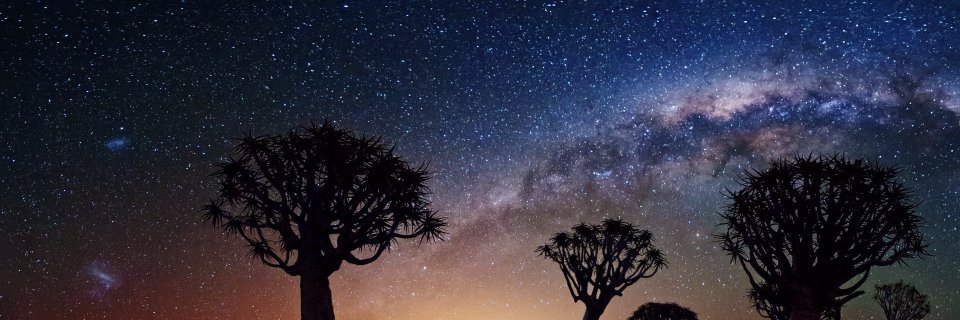 CaronvdH96's profile banner image