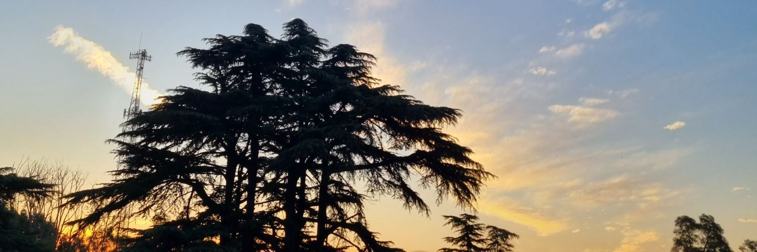 Ayuparedes's profile banner image