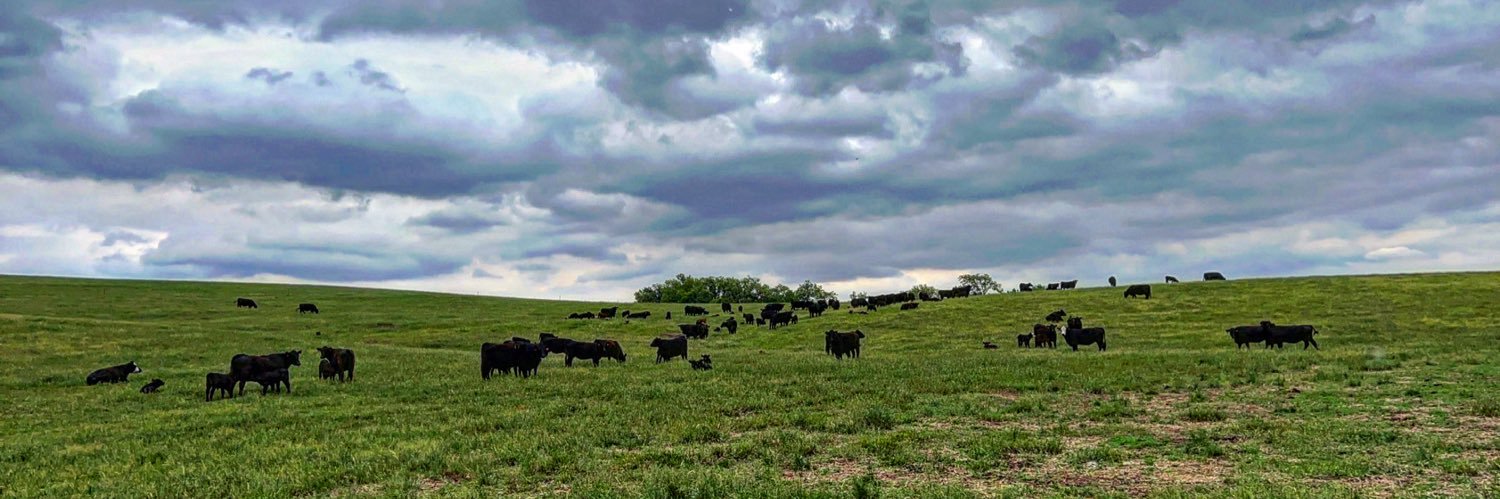 FarmLifeMomLife's profile banner image