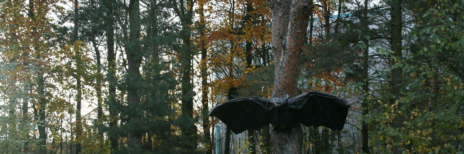 sooz_estelle's profile banner image