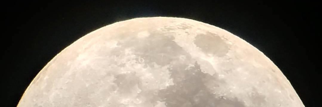 Libbie Mowbray banner