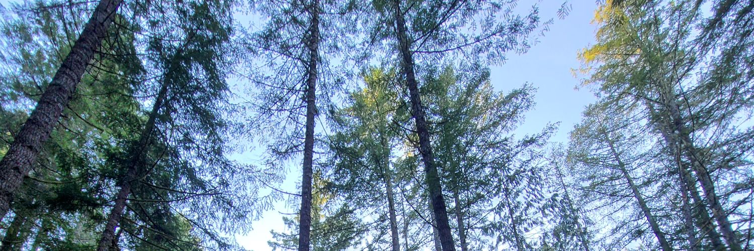 beatjunkee78's profile banner image