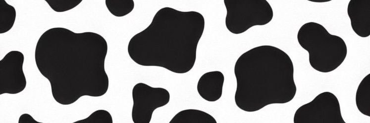 madi 🐮 banner