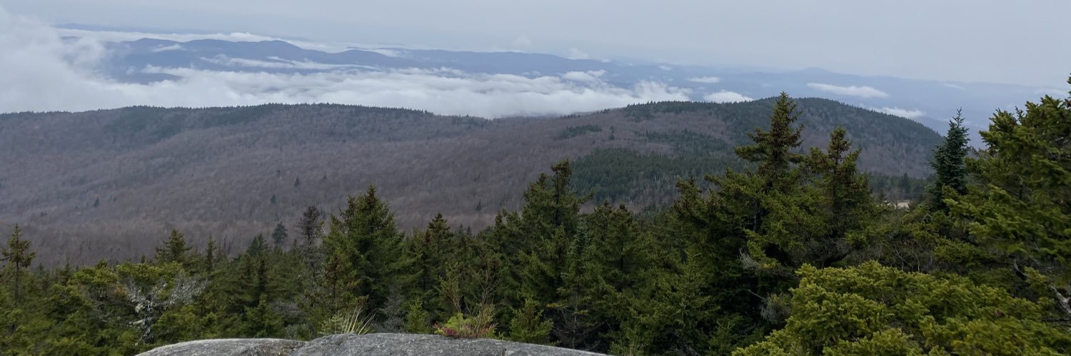 burchashleyy's profile banner image