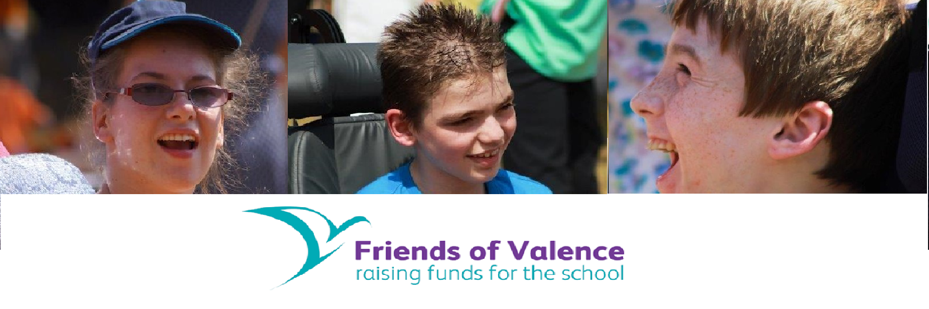 Friends Of Valence banner