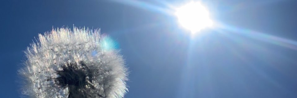 NatalieAnne_11's profile banner image