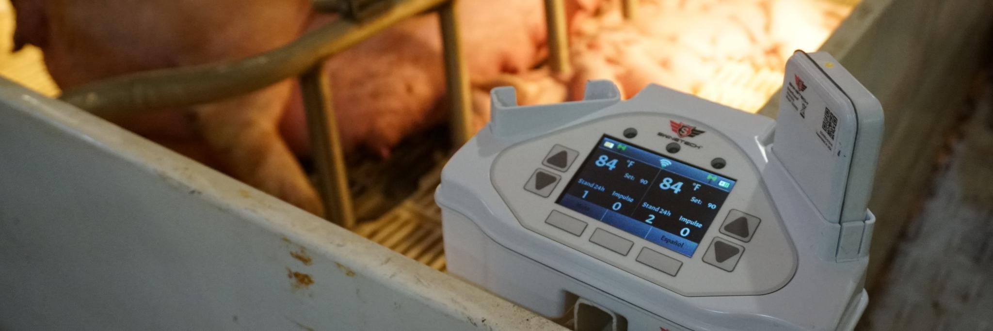 SwineTech, Inc. banner