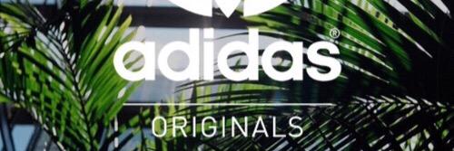 Ausx banner