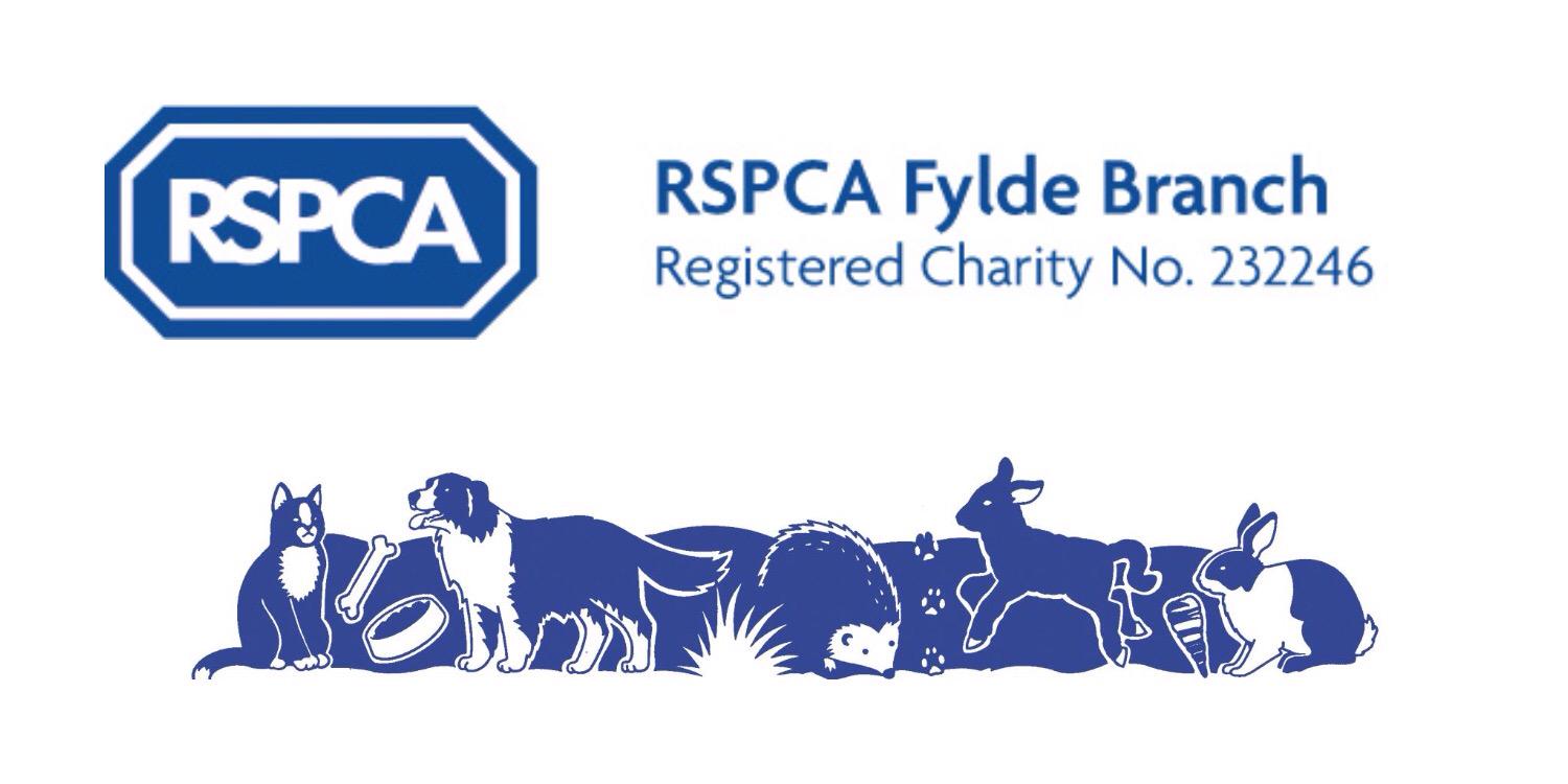 rspca_fylde's profile banner image
