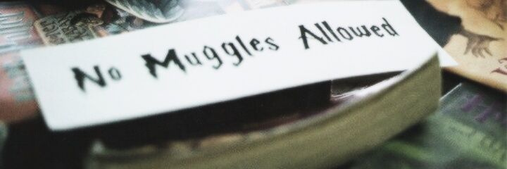 Titaniatty's profile banner image