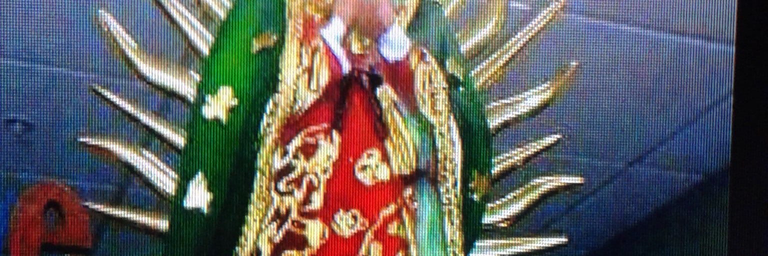 Florencio Lu Almanza banner