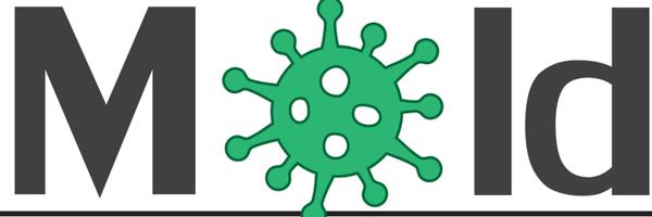 moldbgonega Profile Banner