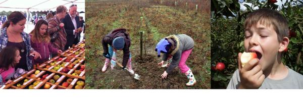 orchardsproject Profile Banner