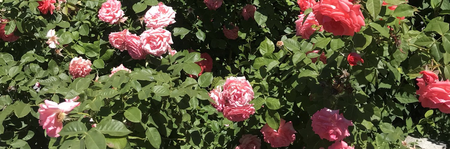 kelss__01's profile banner image