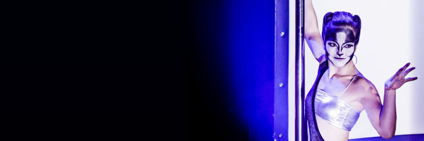 PoleDanceDiary's profile banner image