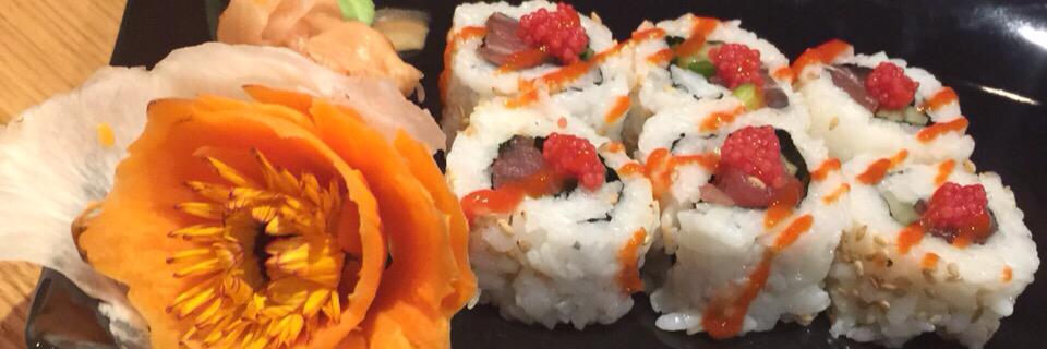 Funki_Sushi's profile banner image