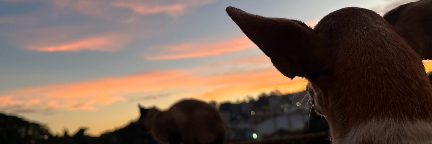 elizzzmf's profile banner image