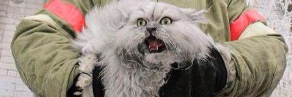 Mooben4's profile banner image