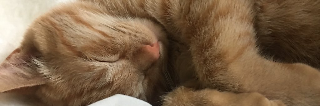 chanappleby's profile banner image