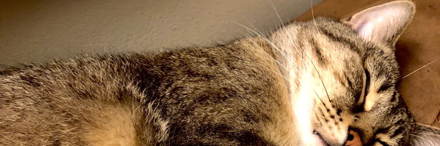 britty152's profile banner image