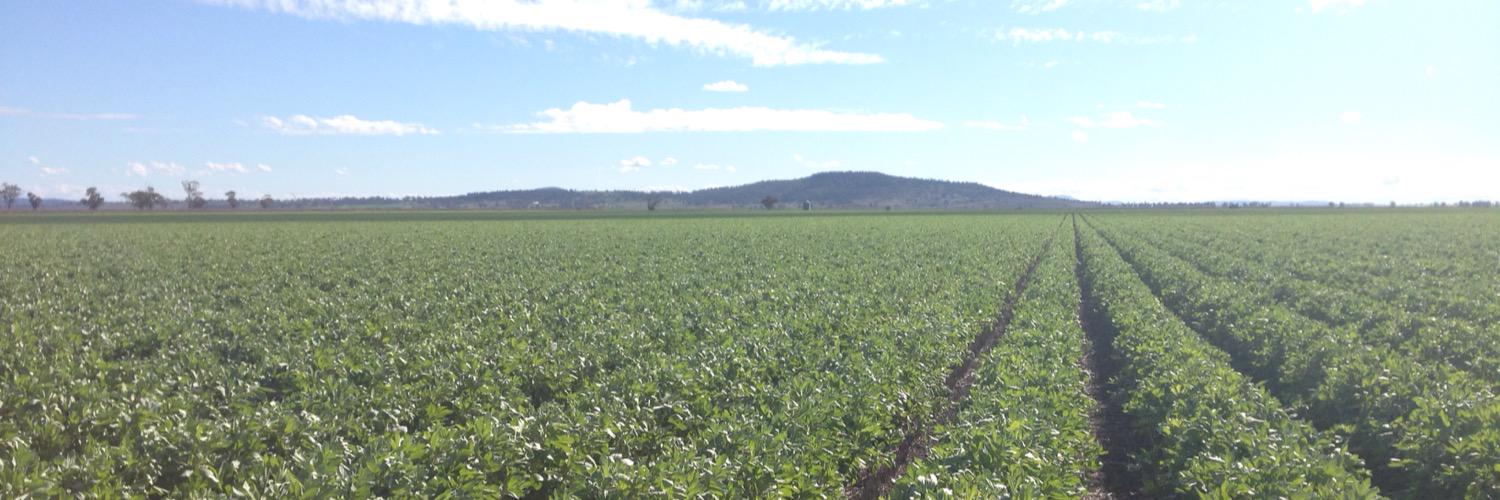 LMK_AgroConnect's profile banner image