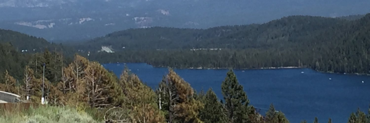 LisaMJDavis's profile banner image