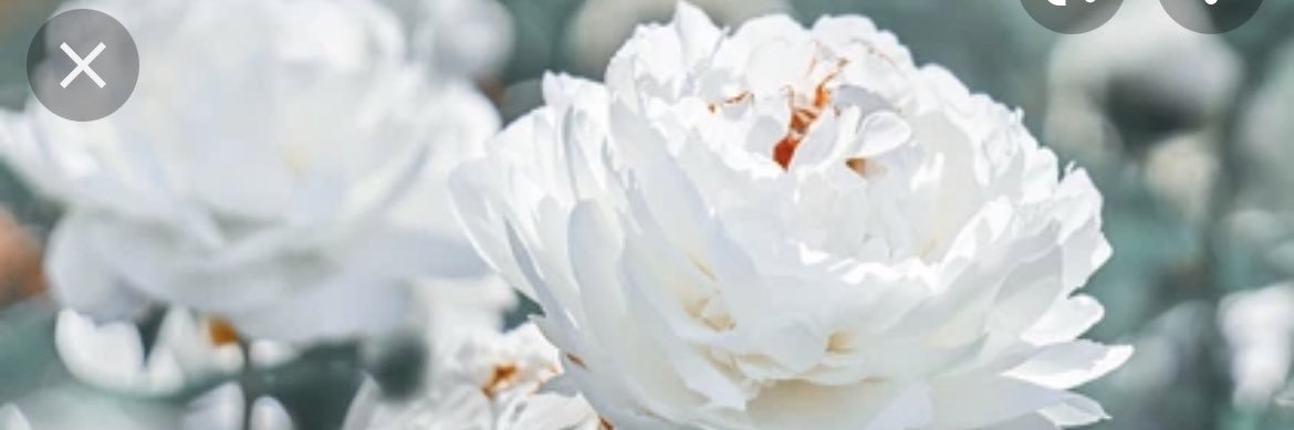 CMShannon_'s profile banner image