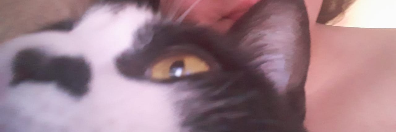 Menti_Roza's profile banner image