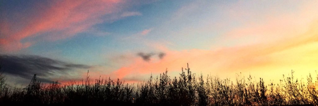 annagellerr's profile banner image