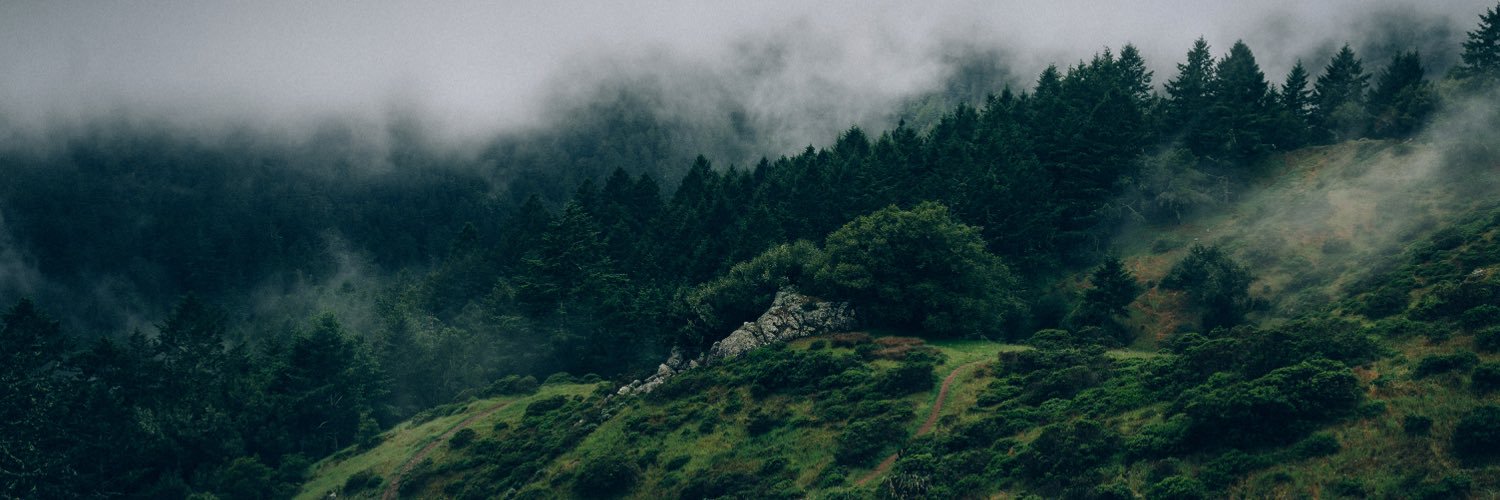PandoraNott's profile banner image