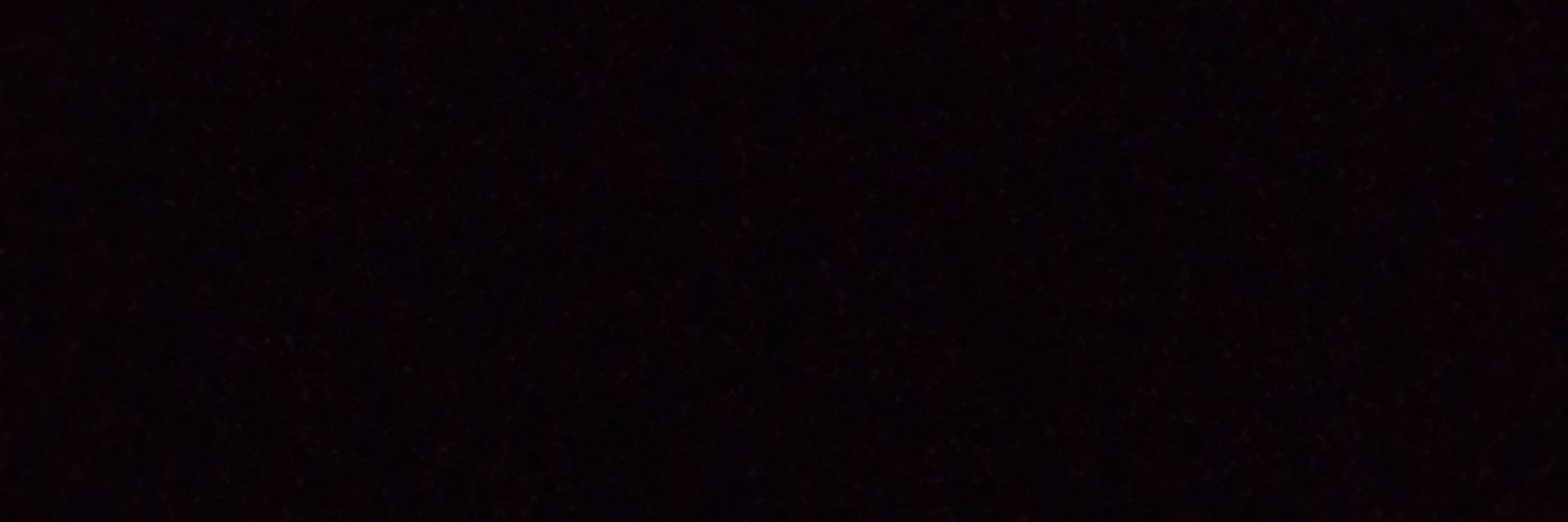 nathborgesk's profile banner image