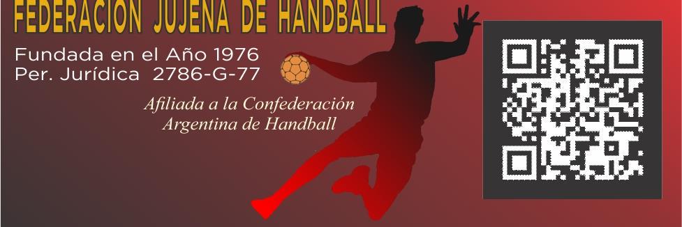 FJHandball's profile banner image