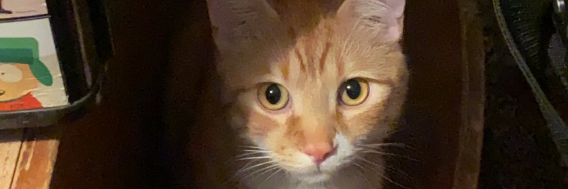 DJRatzlaff's profile banner image