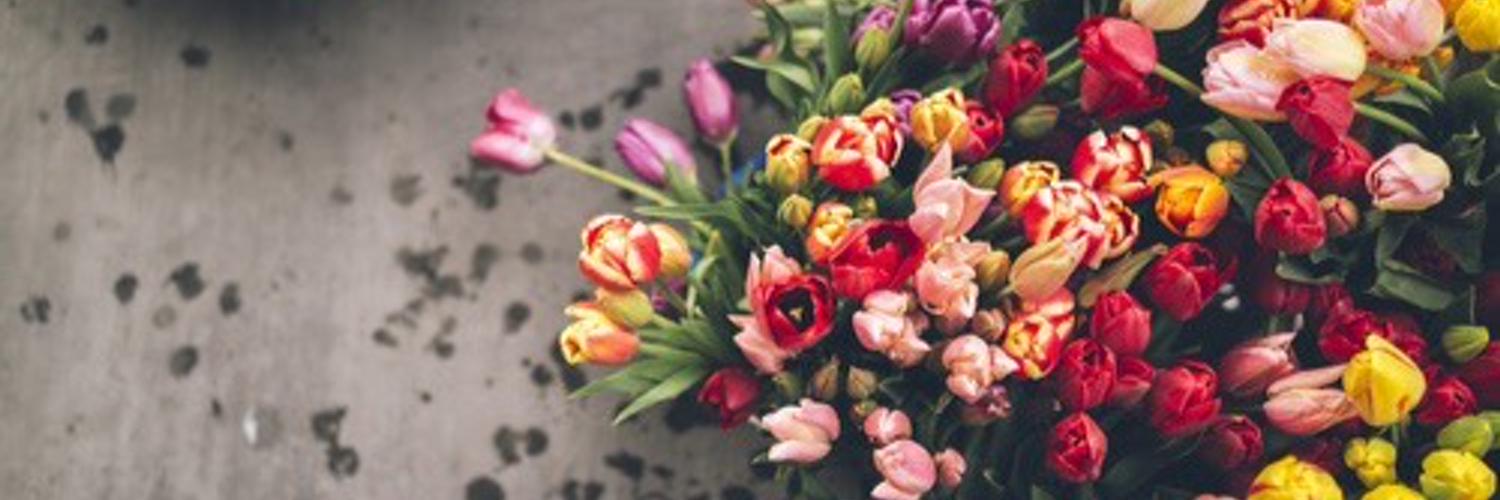 taniarll_'s profile banner image