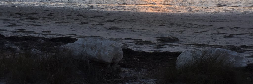 alexbustos05's profile banner image