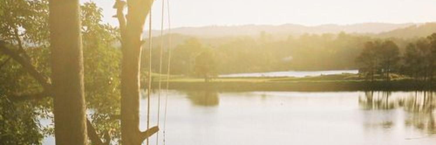 allieloeb125's profile banner image