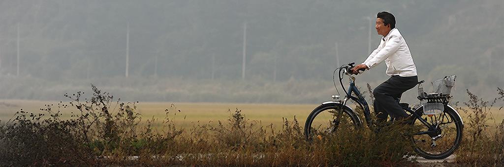박영화 banner