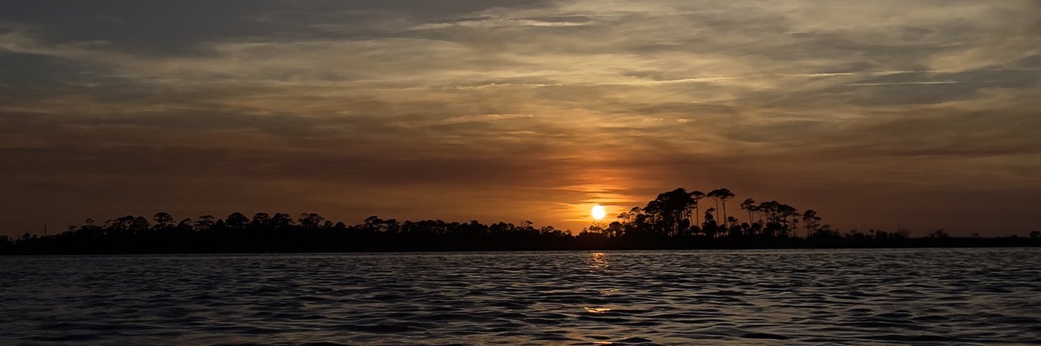 ʇıןɹzʎɐɾ banner