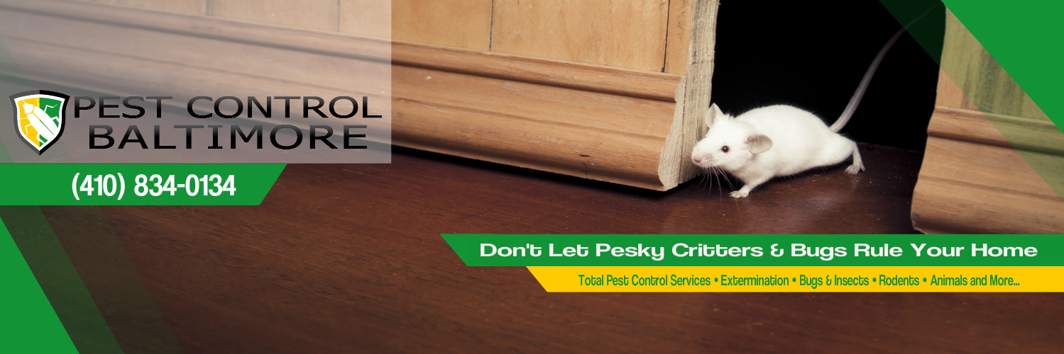 PestControlBalt's profile banner image