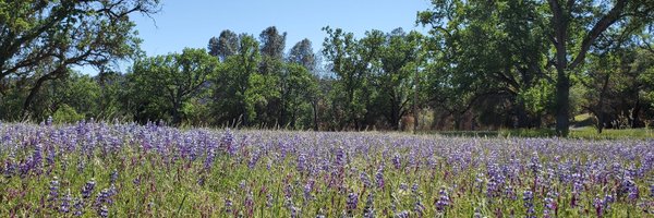 ae_bowen Profile Banner