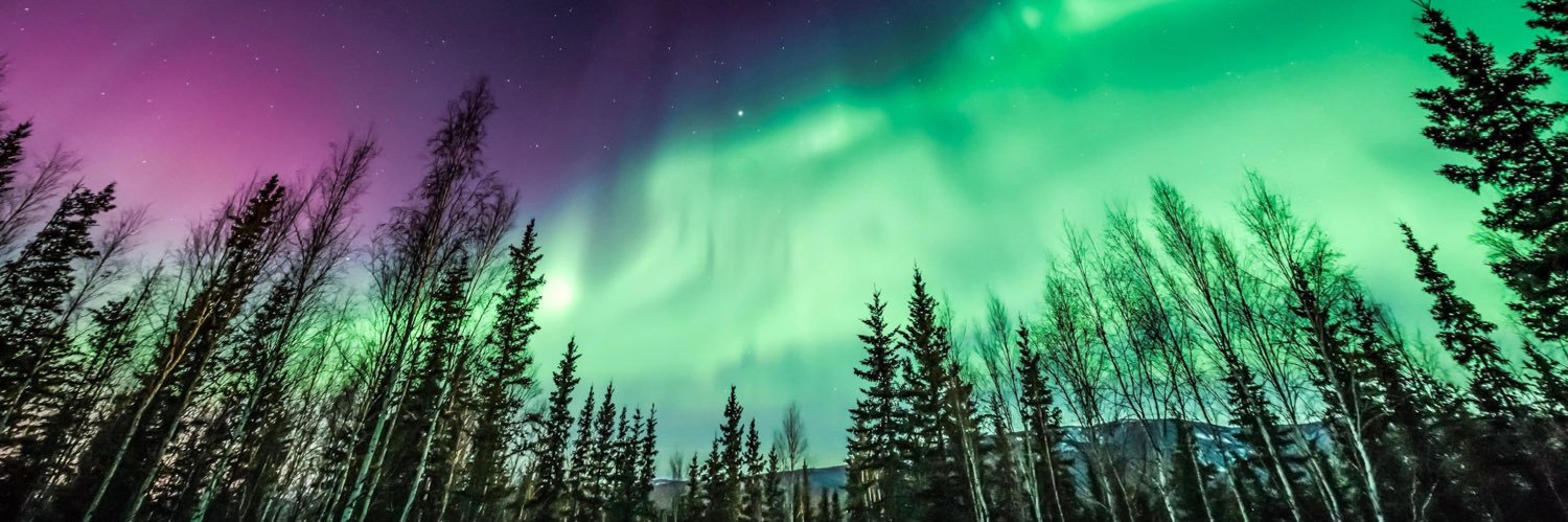 Snowvella_'s profile banner image