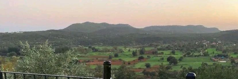 WalidOuzani's profile banner image