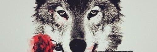 posehidra's profile banner image