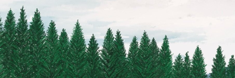 exrnsxr's profile banner image