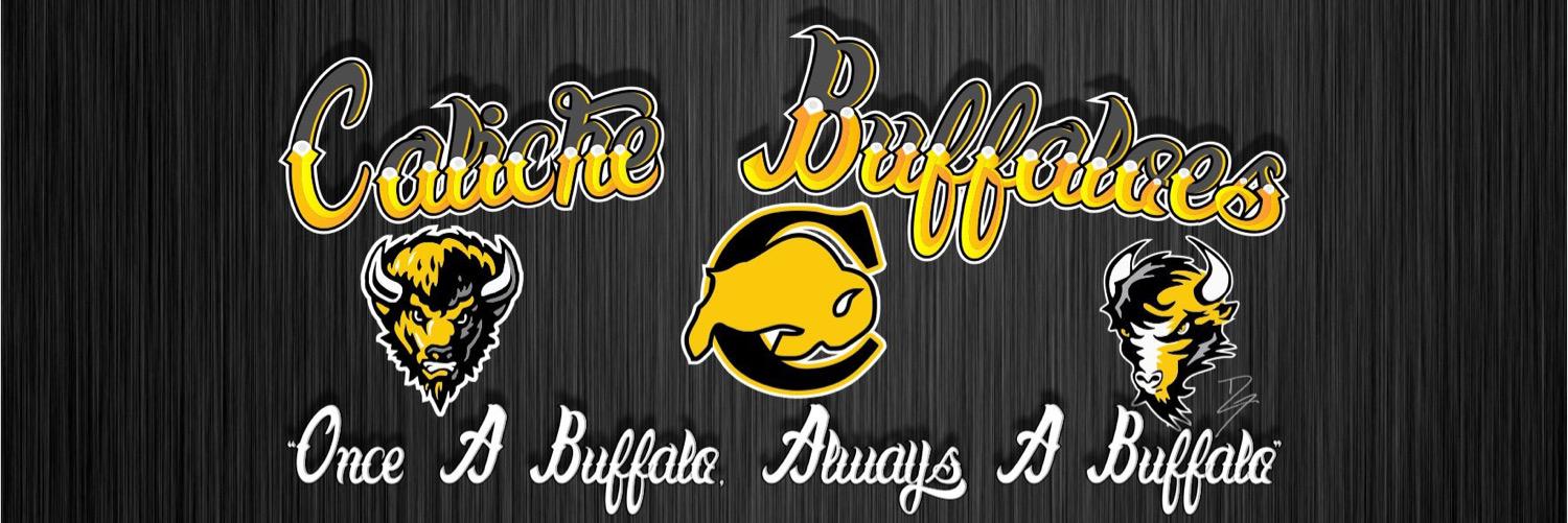 CalicheBuffs's profile banner image