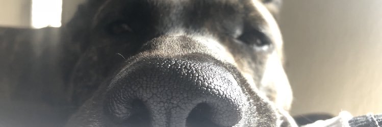 abarrientos102's profile banner image