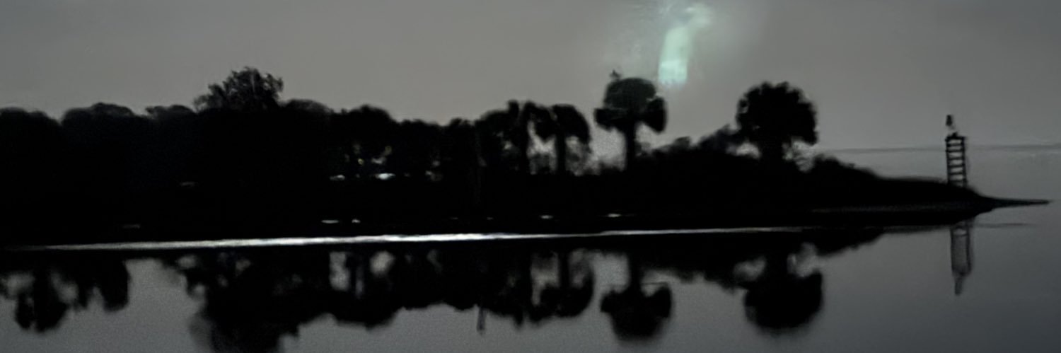 Dwinemaster banner