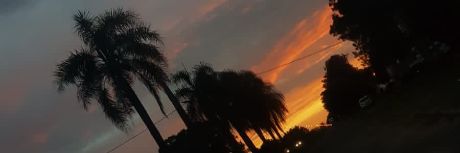 Veroriverovero3's profile banner image